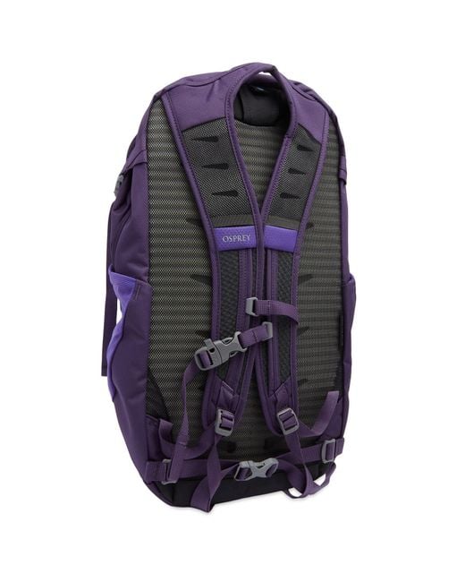Osprey Purple Daylite Plus Backpack
