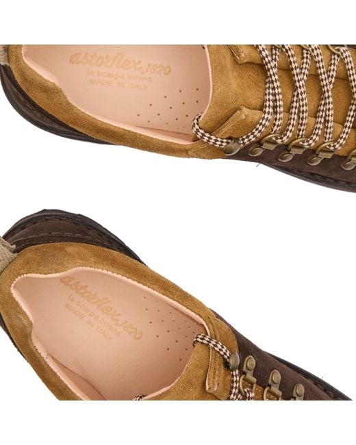 Astorflex Brown Furflex Suede Shoes for men
