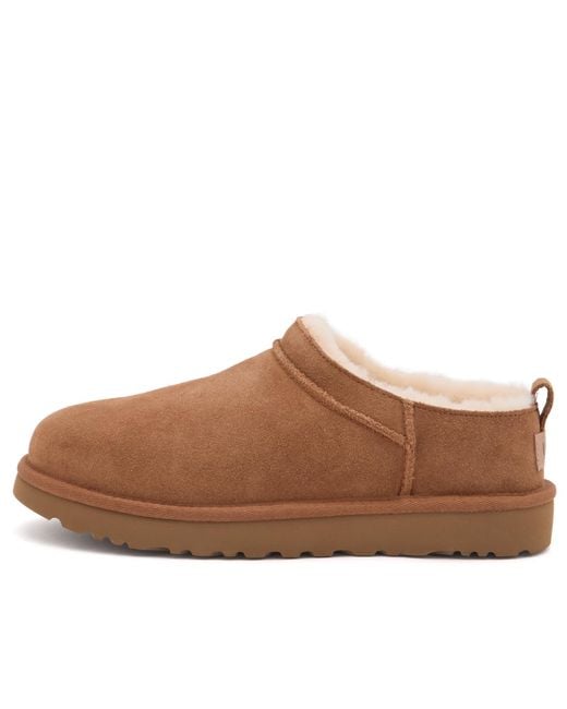 Ugg Brown Classic Micro Boot