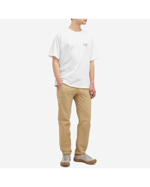 Arc'teryx Natural Gamma Pant for men