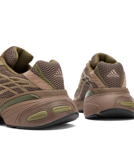 Adidas Brown Adistar Xlg 20 Sneaker for men