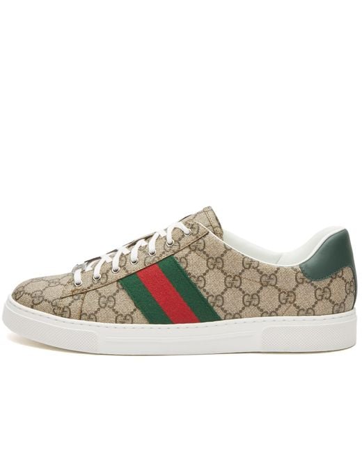 Gucci Metallic Lace Sneakers for men