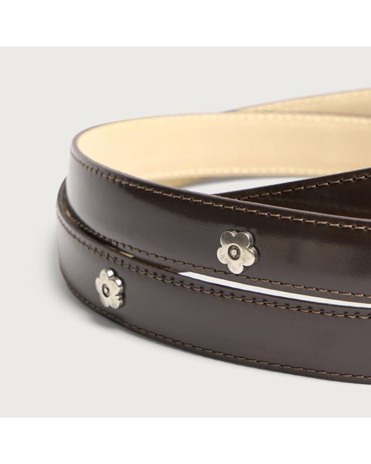 mfpen Multicolor Rivet Purpose Belt for men