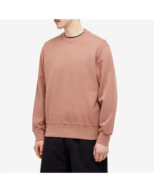 Lady White Co. Pink Lady Co. Relaxed Crew Sweatshirt for men