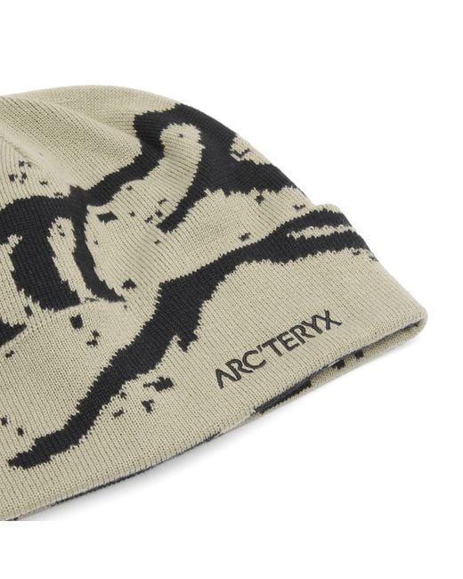 Arc'teryx Metallic Grotto Toque