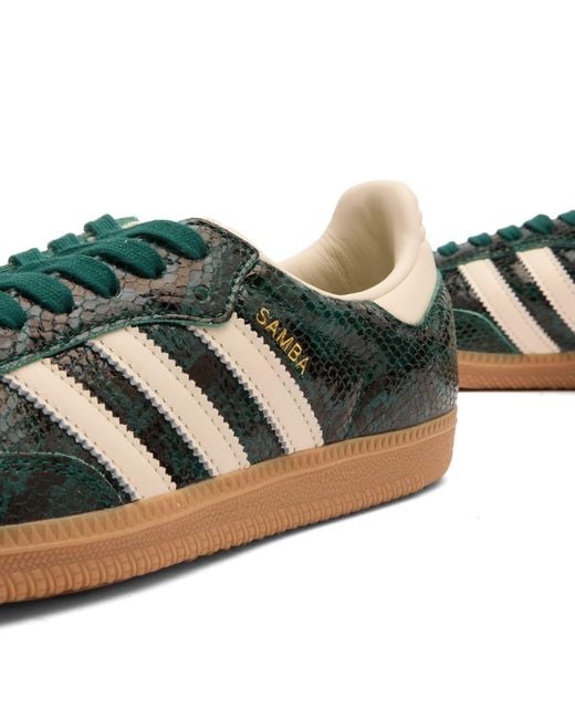Adidas Originals Green Samba Og Snake Print W Sneaker