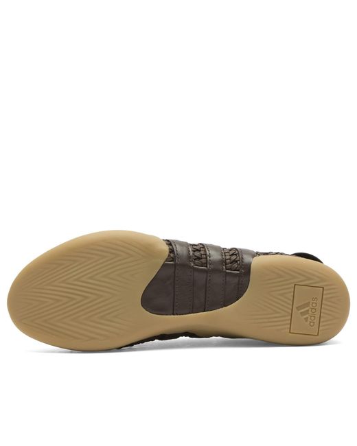 Adidas Brown Taekwondo Mei Ballet Sneaker