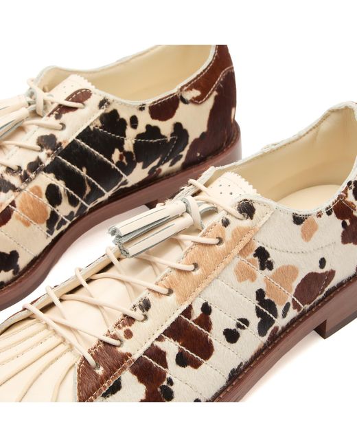 Adidas Originals Brown X Clot Superstar Dress Sneaker for men