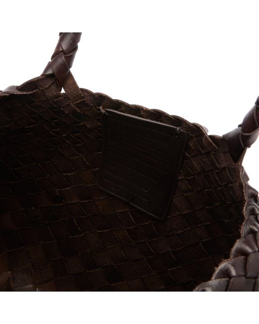 Dragon Diffusion Brown Santa Croce Large Bag