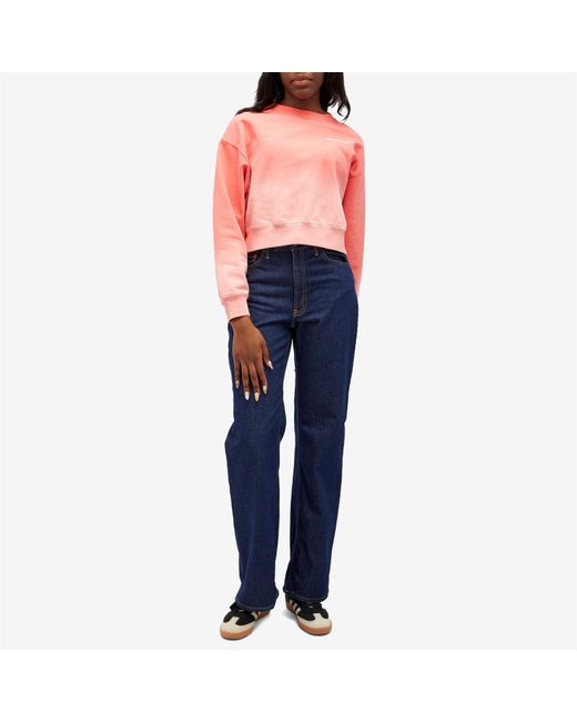 Sporty & Rich Pink Serif Logo Embroidered Cropped Sweatshirt