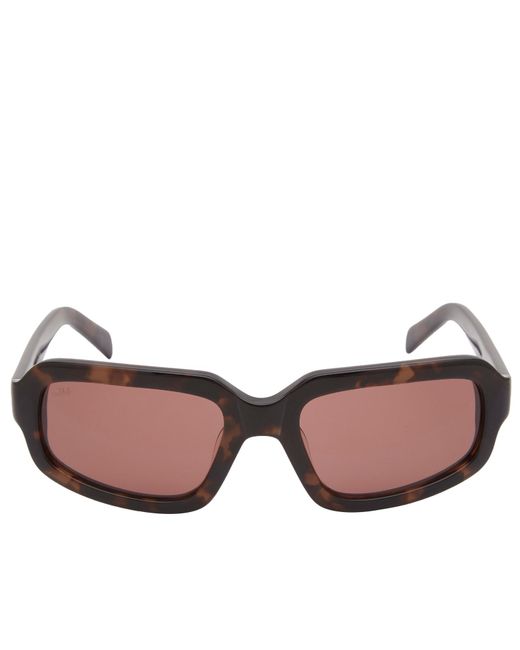 AKILA Brown Jupiter Sunglasses