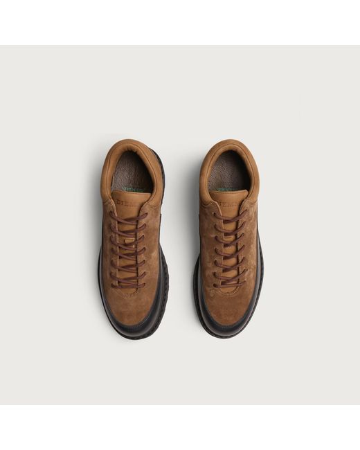Diemme Brown Cornaro Gala for men