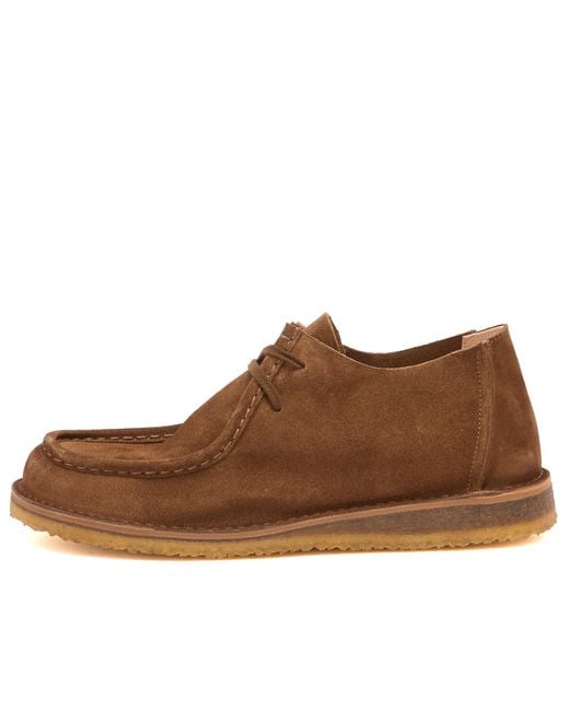 Astorflex Brown Beenflex Suede Shoes for men