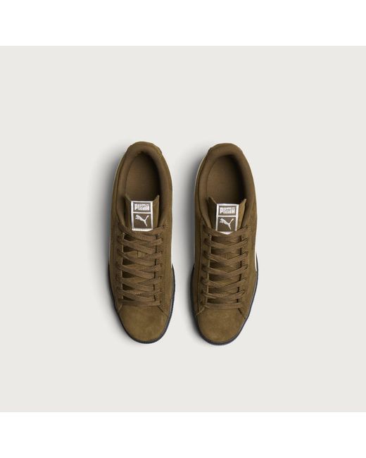 PUMA Brown Suede Sneaker for men
