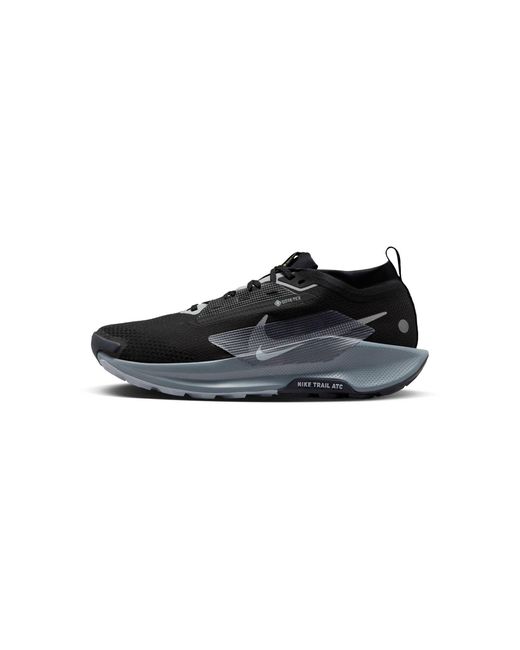 Nike Traillaufschuhe PEGASUS TRAIL 5 GTX in Black für Herren
