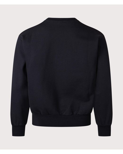 No Problemo Blue Sweatshirt for men