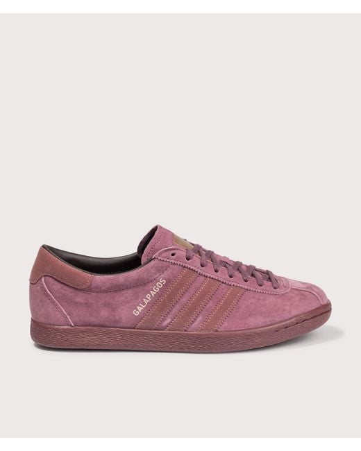 Adidas Originals Purple Galapagos Trainers for men