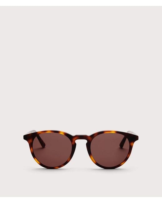 Messyweekend Brown New Depp Sunglasses for men