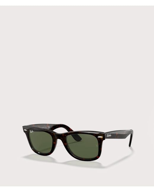 Childe CASH Gloss Black | Green Polarised Lens - Childe Eyewear