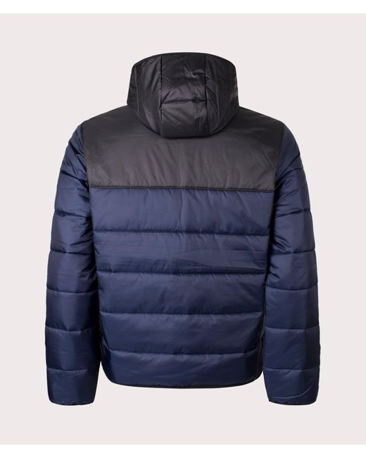 Lacoste Blue Padded Hooded Jacket for men