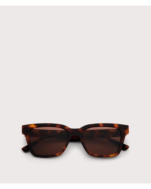 Messyweekend Brown Dean Sunglasses for men
