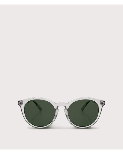 Messyweekend Green Hobbes Sunglasses for men