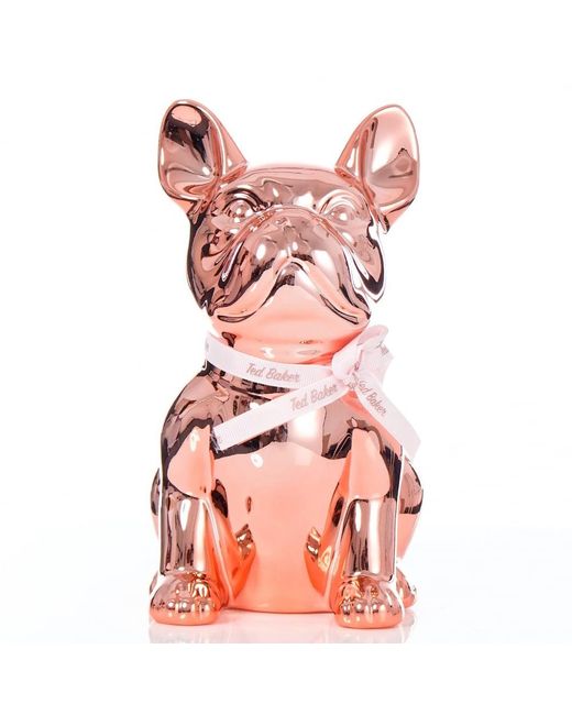 Ted Baker Pink Buster Money Box