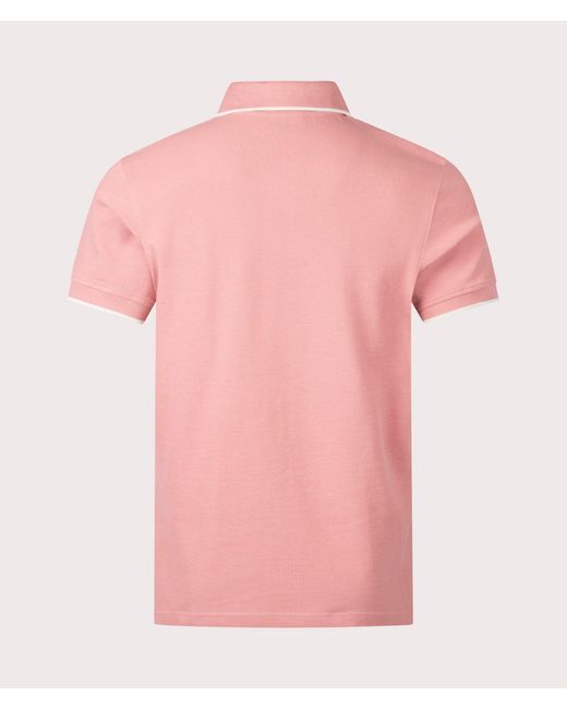 Belstaff Pink Tipped Polo Shirt for men