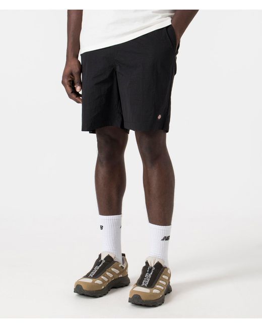 Dickies Black Fincastle Shorts for men