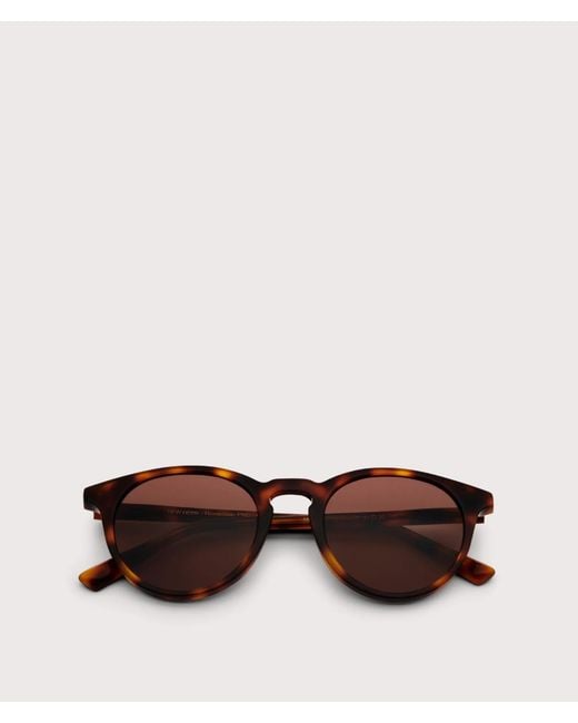 Messyweekend Brown New Depp Sunglasses for men