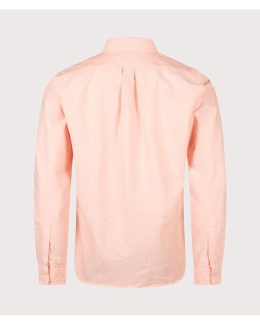 Polo Ralph Lauren Pink Custom Fit Iconic Oxford Shirt for men