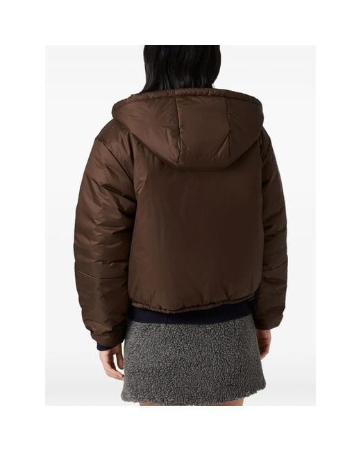 Miu Miu Brown Cropped Ripstop Down Jacket