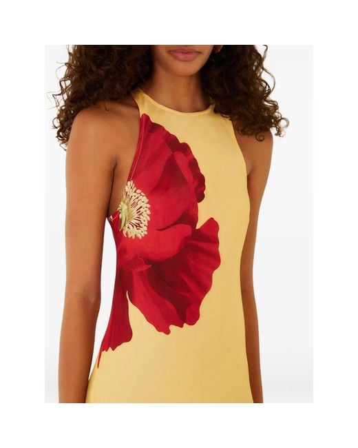 Farm Rio Red Poppy-Print Sleeveless Maxi Dress