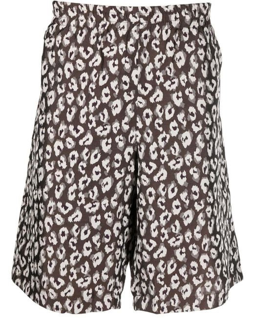 Needles Brown Leopard-print Knee-length Shorts for men