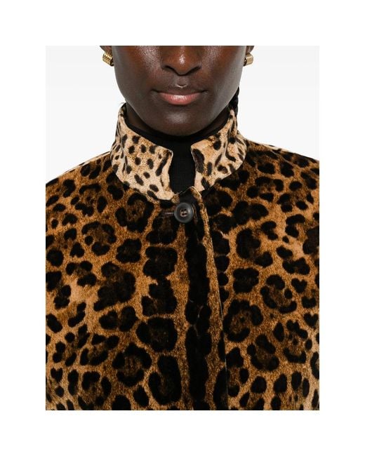 Max Mara Brown Neutrals Jackets