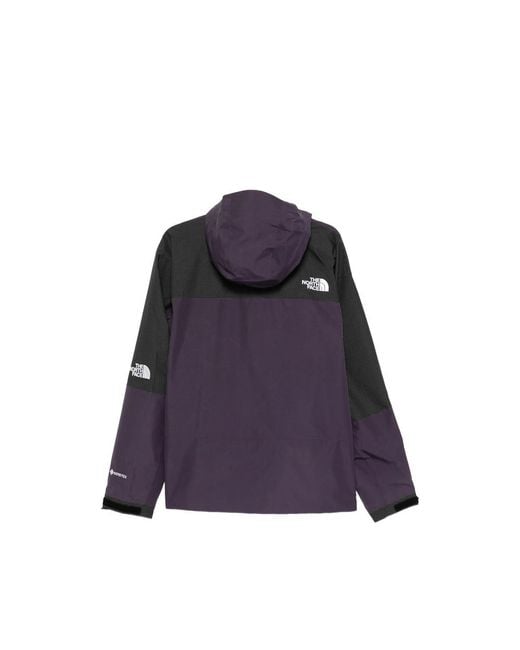 The North Face Blue Mountain Hooded Jacket for men
