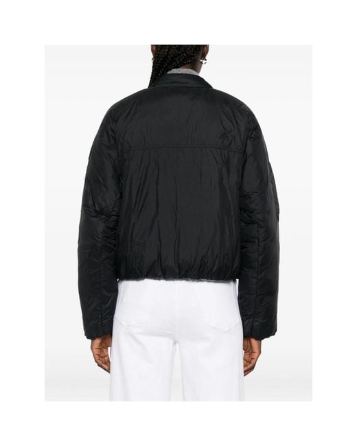 Canada Goose Black Jackets