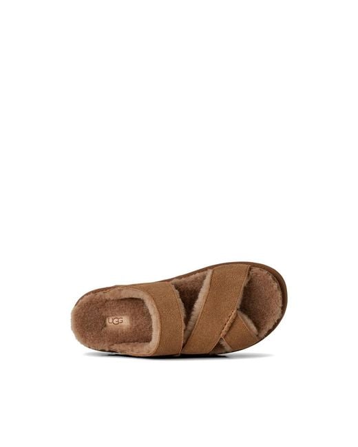 Ugg Brown Slippers Greenport Che