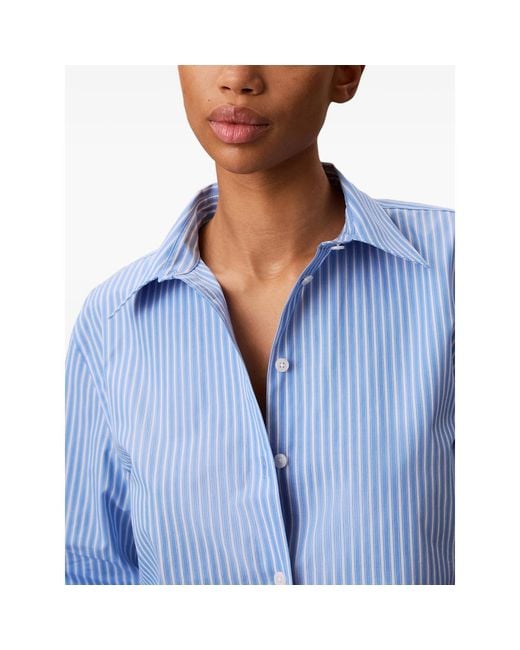 Calvin Klein Blue Shirt Angel