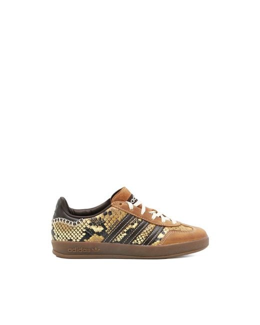Adidas Brown X Wales Bonner Gazelle Snake Low-Top Sneakers for men