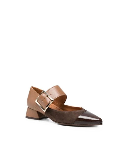 Chie Mihara Brown Hebas Buckle-Strap Pointed-Toe Pumps