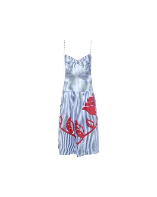 Farm Rio Blue Stripe-Print Appliqué Dress