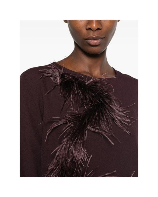 Antonelli Brown Tops