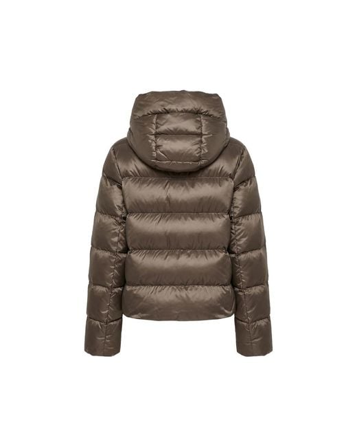 Max Mara Brown Max Mara The Cube