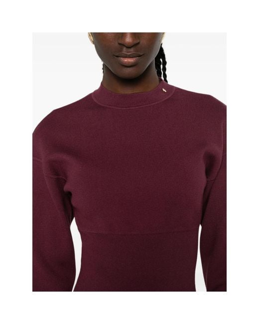 Anine Bing Purple Imane Ribbed-Knit Long-Sleeve Mini Dress