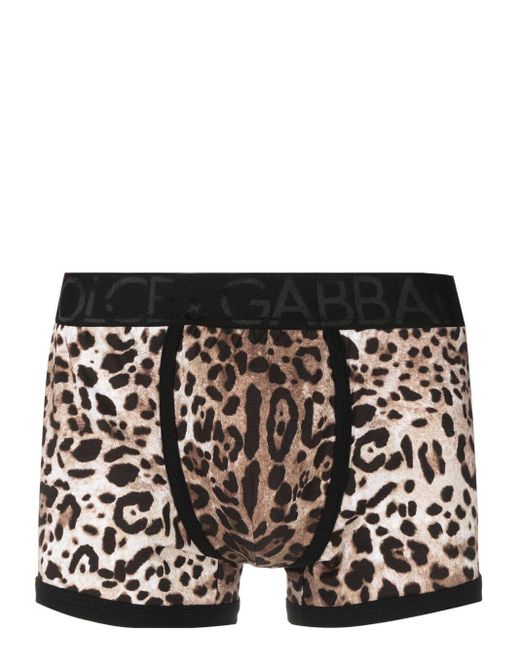 Dolce & Gabbana Black Leopard-print Stretch-cotton Boxers for men