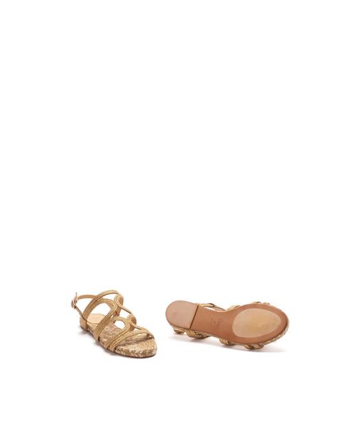Castaner Brown Shoes
