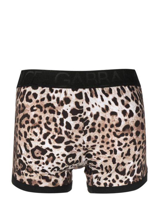 Dolce & Gabbana Black Leopard-print Stretch-cotton Boxers for men
