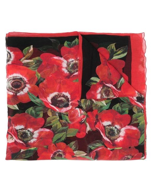 Dolce & Gabbana Red Poppy-print 115x190cm Scarf