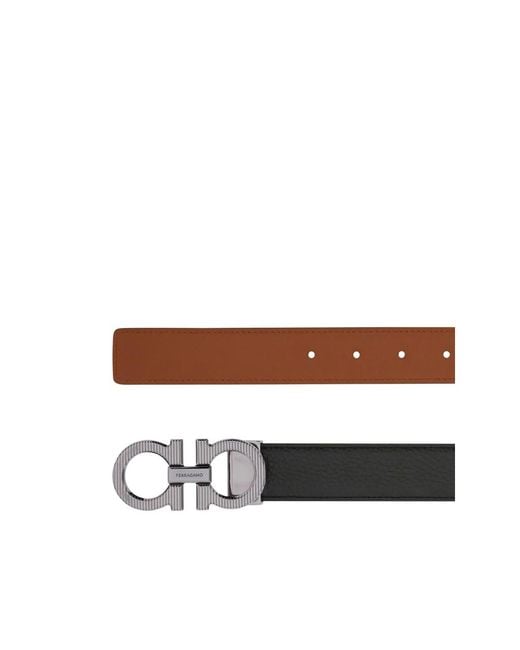 Ferragamo Brown Belts for men